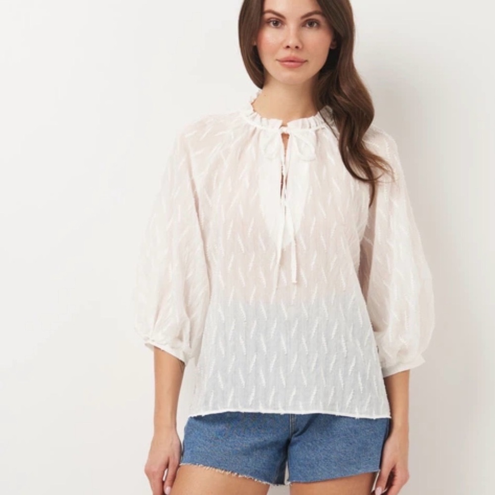 Zara white Sheer Blouse with Tie Neck